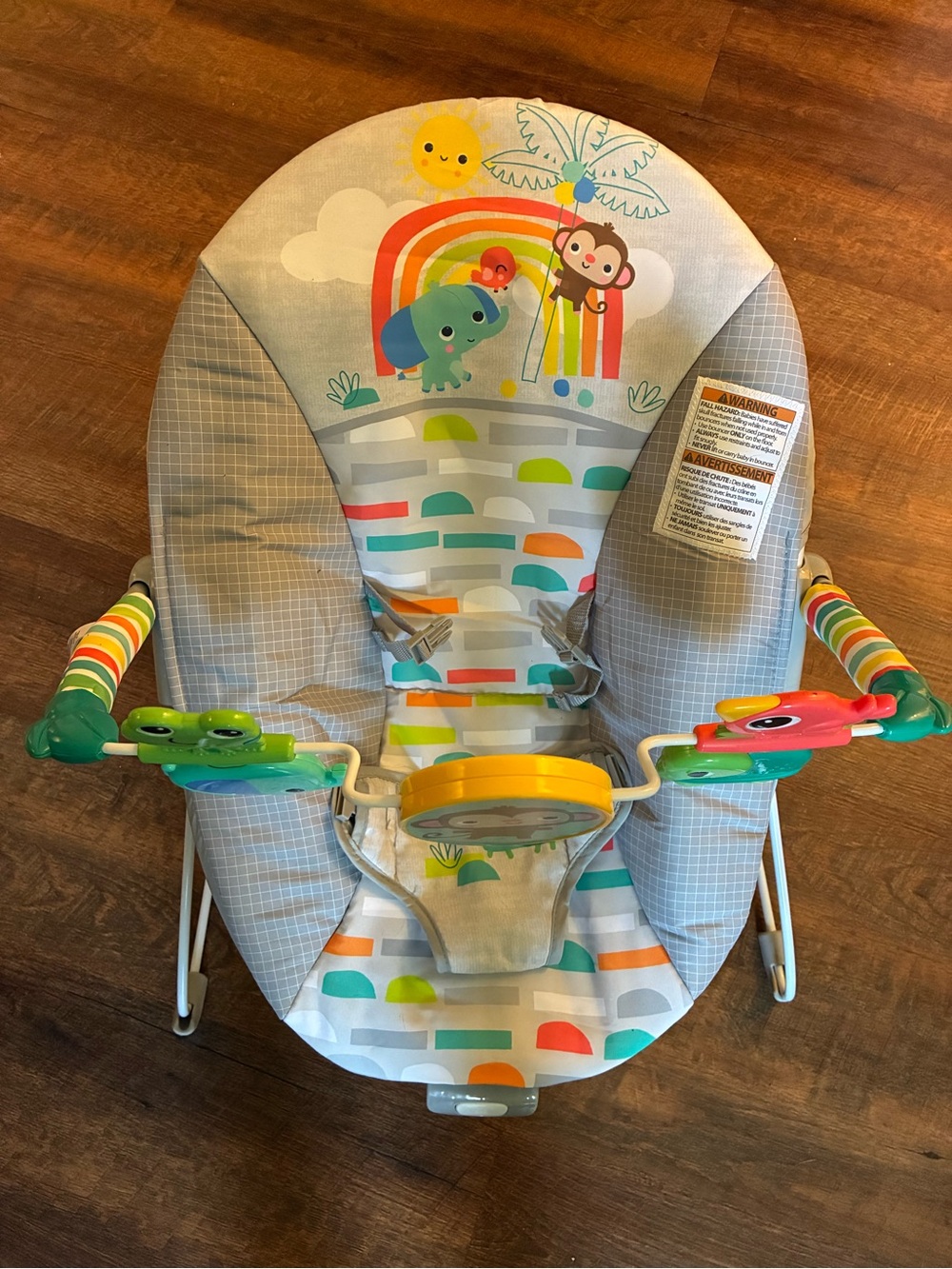 Bright Starts Baby Bouncer Seat
